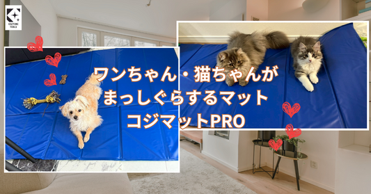 ワンちゃんや猫ちゃんがお気に入りになるコジマットPRO